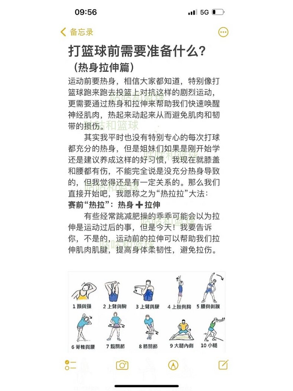 篮球训练后拉伸动作图片大全