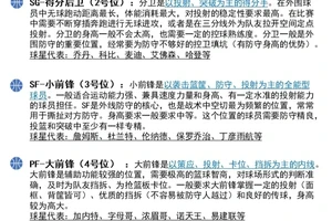 大学生篮球中锋的职业发展路径:从校园到职业赛场的进阶之路